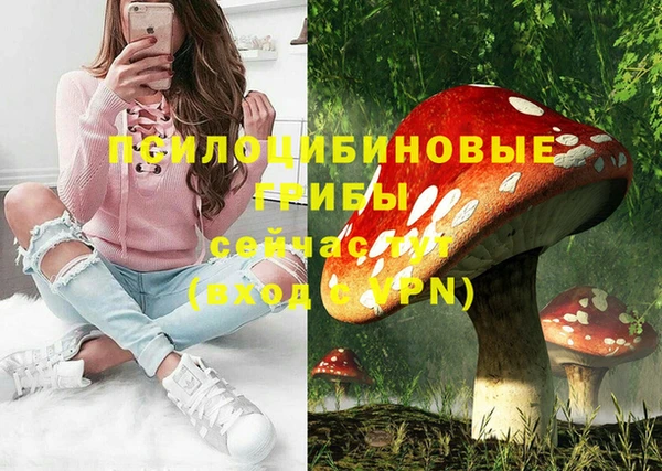 PSILOCYBIN Горняк