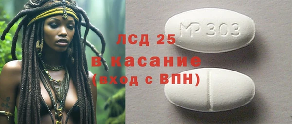 PSILOCYBIN Горняк