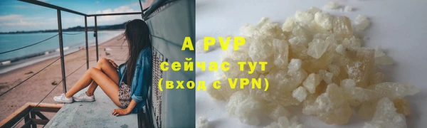 PSILOCYBIN Горняк