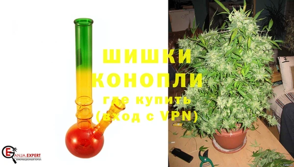 PSILOCYBIN Горняк