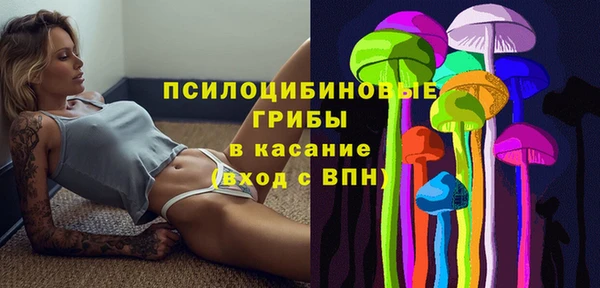 PSILOCYBIN Горняк