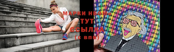 PSILOCYBIN Горняк