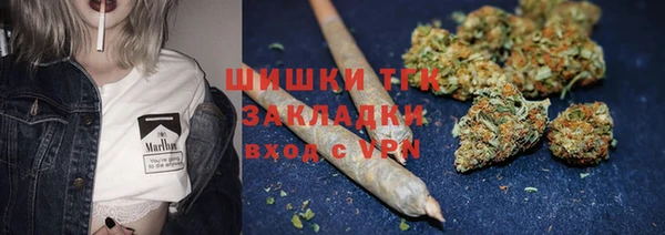 PSILOCYBIN Горняк