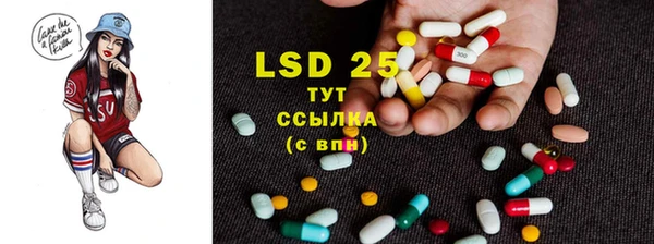 PSILOCYBIN Горняк
