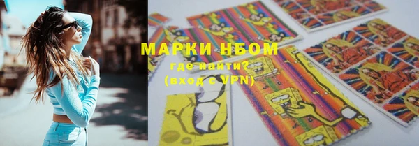 PSILOCYBIN Горняк